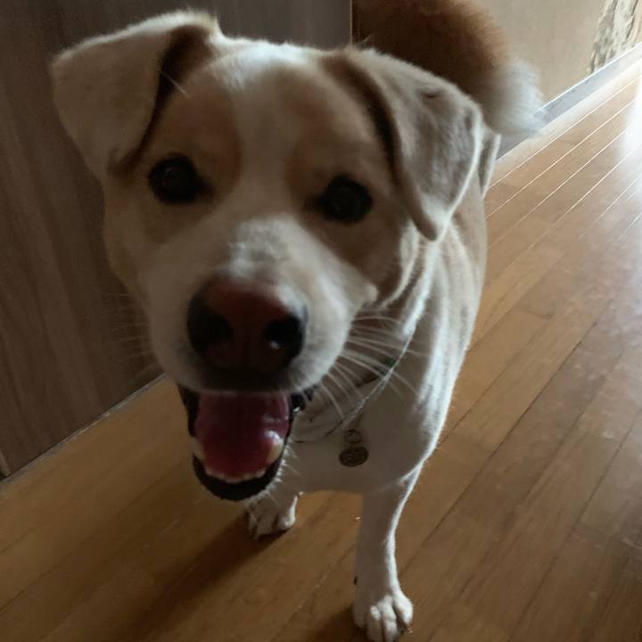 Beb364d8 2e55 4175 89e0 cb46bb6d318a 1568421623718