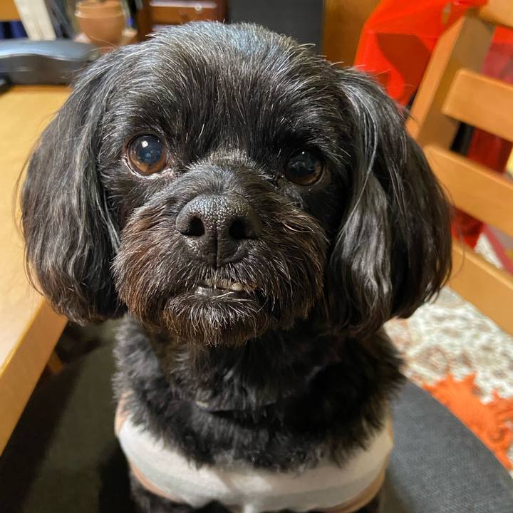 Beb371ed be32 42f7 8836 cec7065df114 1670070822165