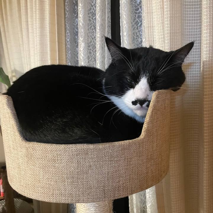 Beb37791 b4f6 4d2d a651 236198c80afc 1697114547063