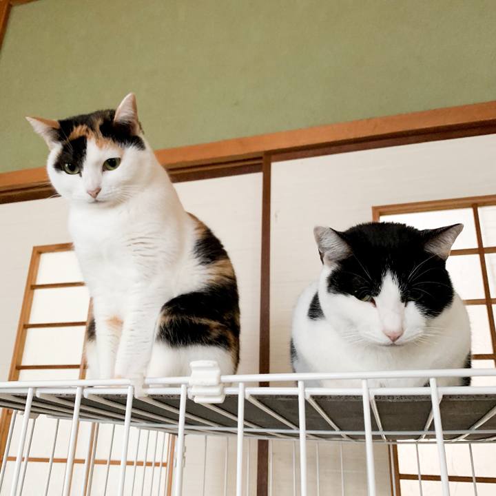 Beb3d2be cd91 4136 9193 d3477e1061d9 1546733734280