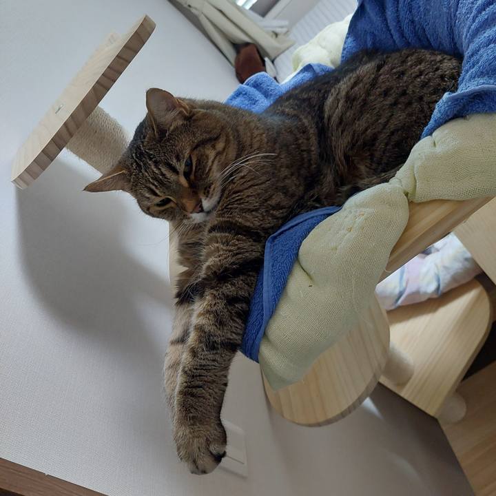 Beb3e687 3d01 4a23 ae82 c66bf65bcec2 1715992396194