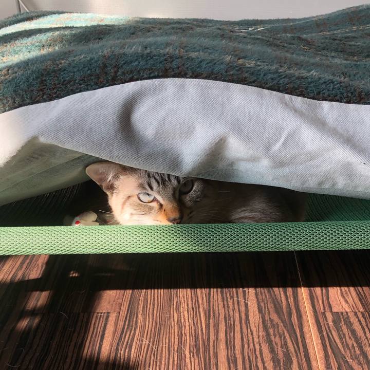 Beb429b9 adb4 43dc 9d0b e4bfc78bdbbe 1613640985839