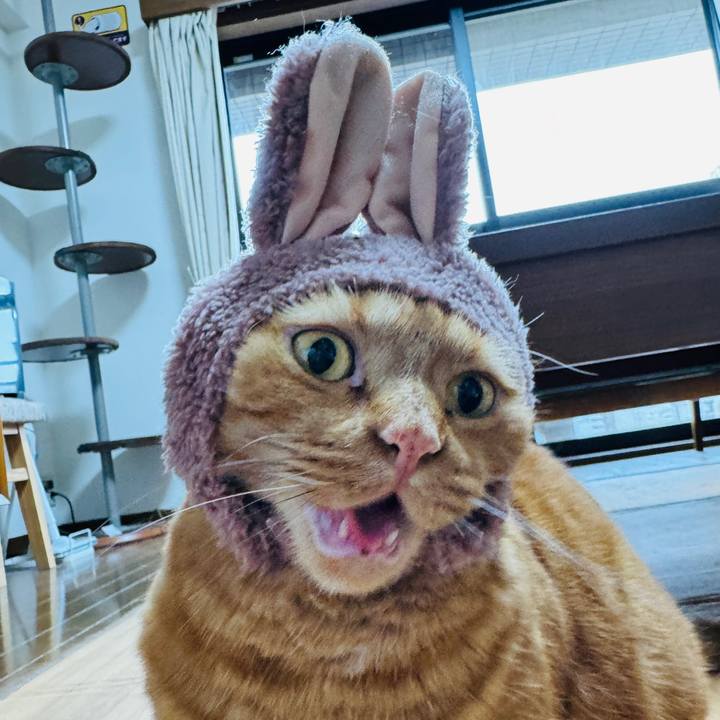 Beb444e7 0c23 4d03 895d 1a04f9dad315 1713935451309