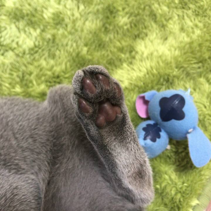 Beb4805f 0e7e 4e8b 8e45 0886f33487ed 1512968782405