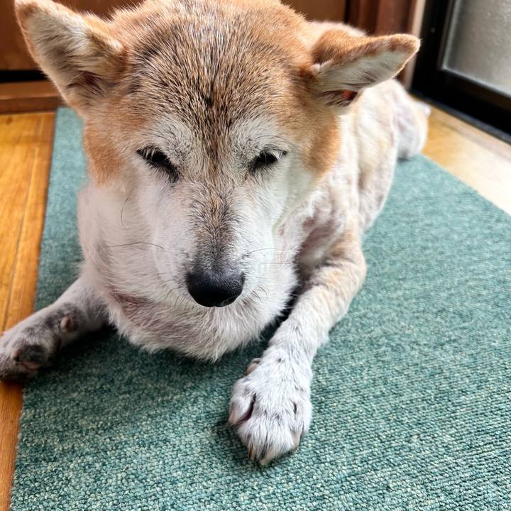 Beb4a259 4b3f 4195 8fbd 8b244728fd98 1761703490472