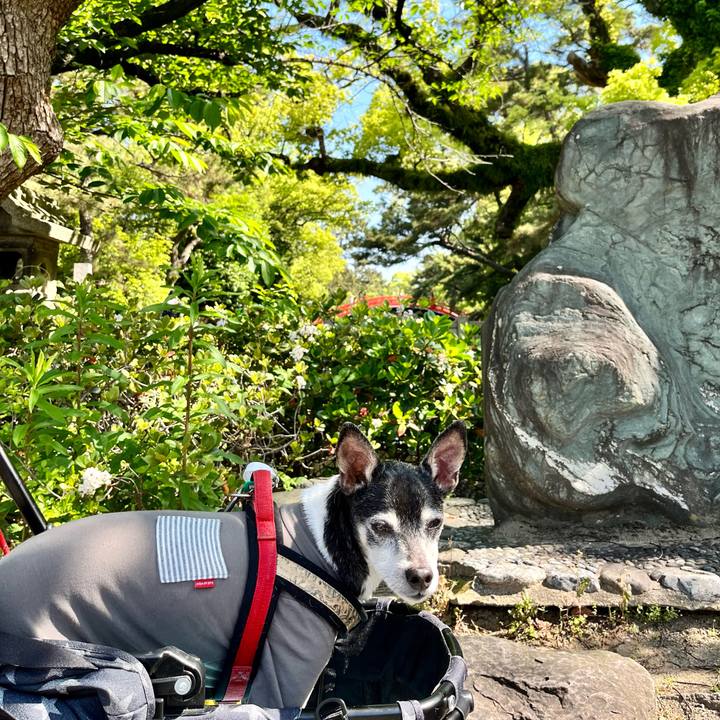 Beb4a434 e363 49cf b0c9 51e38d22ba28 1651716941887