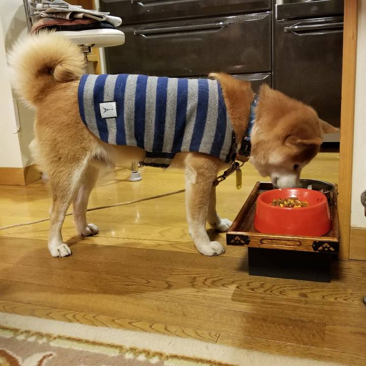 Beb4c97c 62fc 4f6e 9bb0 9aba0e12ece8 1581757196262