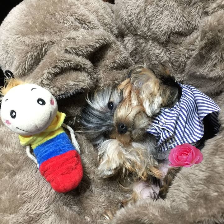 Beb4d888 4dd3 4fe3 b4be 484ba5b8c1b9 1590067011909