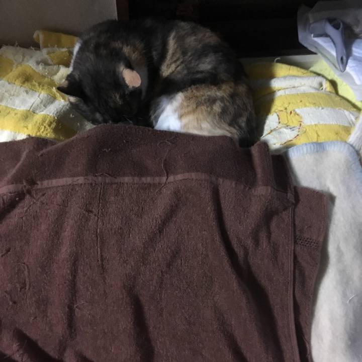 Beb4feee ab90 4f9c 9083 860d3c755f8f 1508450444595