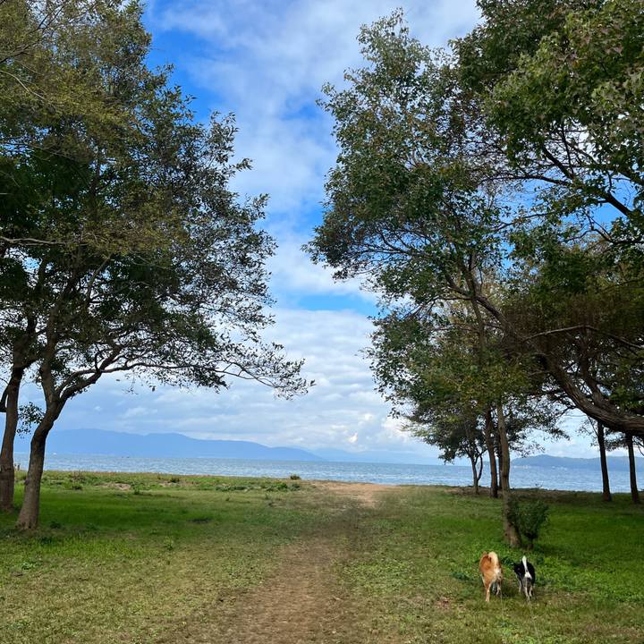 Beb53653 a158 497a b83b 744a2dfdad11 1668091657788