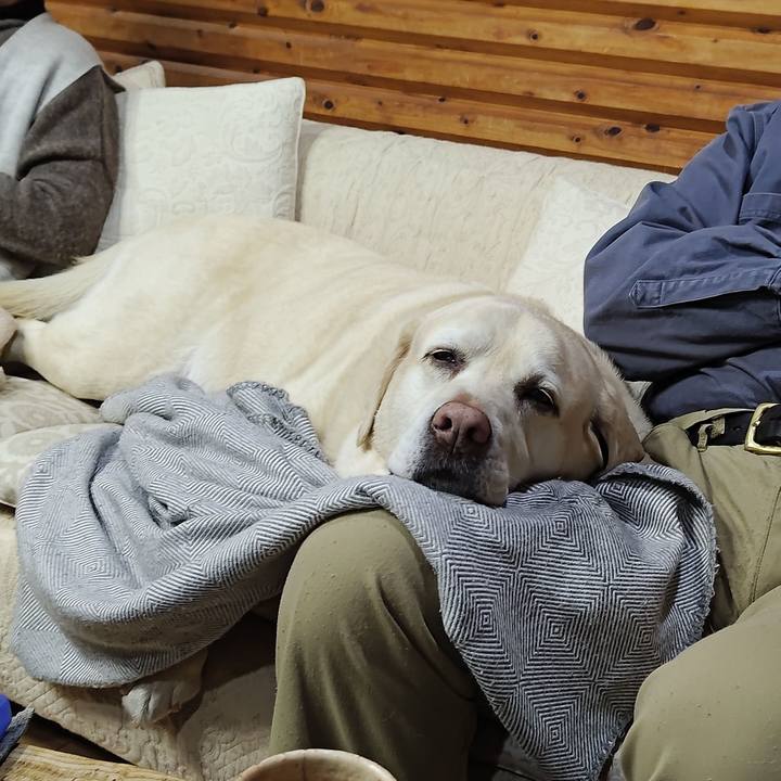 Beb546fe f8a9 49ab 878e faef04653fa2 1772016778964