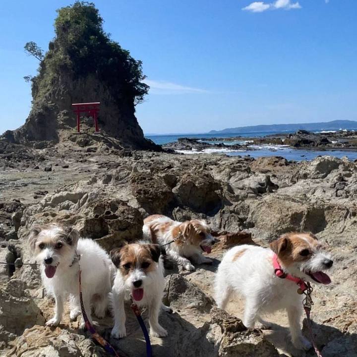 Beb54a2b 002c 46f7 be41 dd13b1492b37 1736900037478