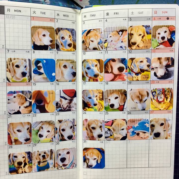 Beb54b04 fae3 480f 9df4 b1179116bc6a 1550549456963