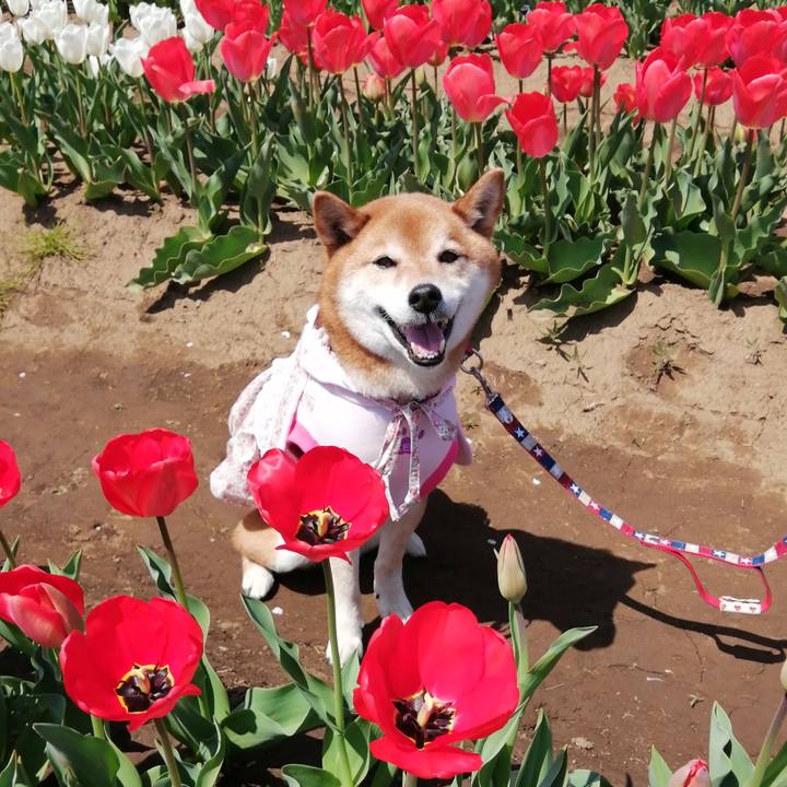 Beb59905 dc7d 45ba a2eb 311c5e93bfa2 1649411525592