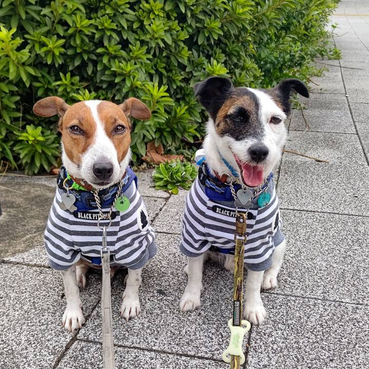 Beb5e190 1b8d 4916 9fc4 dd60eeefba64 1629581925699