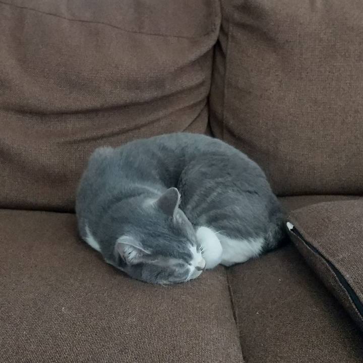 Beb5effc 283b 4bd6 aaa0 e5a4d7515452 1635559023835