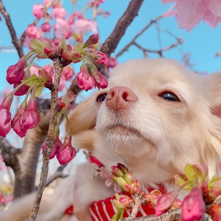 Beb646ba 5fb8 4e8d 91b1 a49d2d49b76a 1616057704577