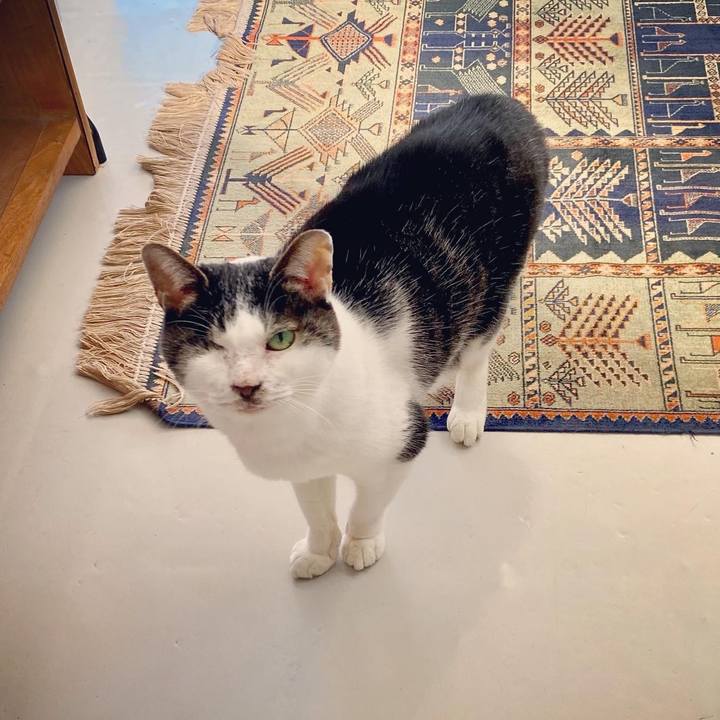 Beb64afa c4ce 4572 bab2 d48a446e101a 1612509307010