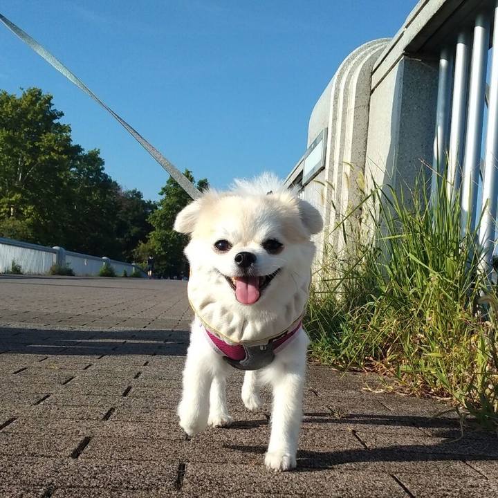 Beb65ecf a025 4a70 88a3 73735f064538 1723453403911