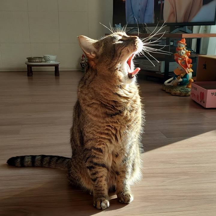 Beb6a8ab ce47 4a14 a373 2647cc8475d1 1701043482661