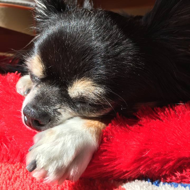 Beb6b468 3416 41fe ae9a 6fb1efa38657 1509070067948