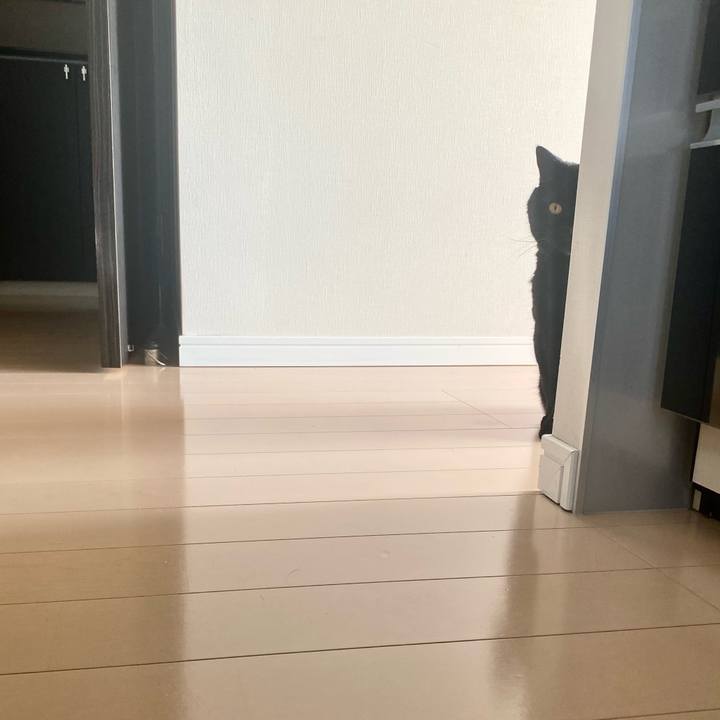 Beb6be77 b3b6 43d3 8abc 2e9022258cee 1771053692210