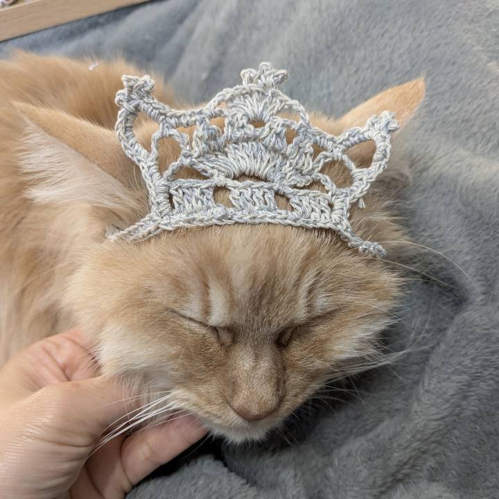 Beb6d37b c005 4765 994a 436ff4a903ce 1773301317288