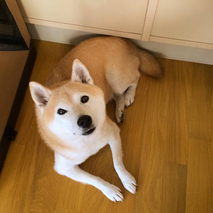 Beb6e147 f4bc 45c7 bc5a b442e2397833 1573833655198