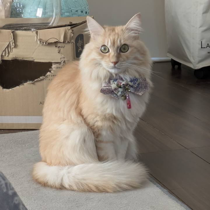 Beb6f52f ed95 4a7f 8143 ef4f96100a1f 1763097057968