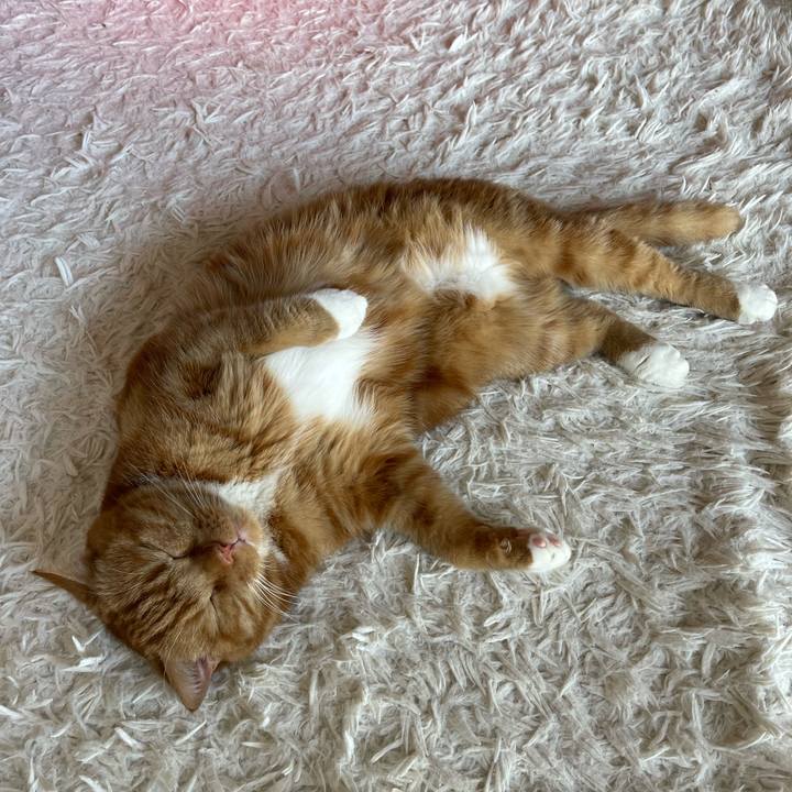 Beb78fd2 05c7 4838 b9b7 3f2715ba1a2b 1655020611668