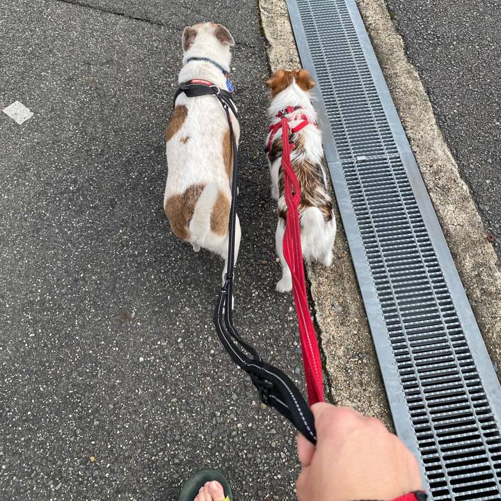 Beb792b3 d8f1 47f8 9195 853af632a9e7 1632007827616