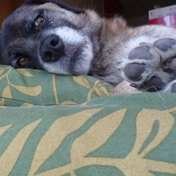 Beb7a747 0792 473f 8304 ed60050cc5ed 1578358310412