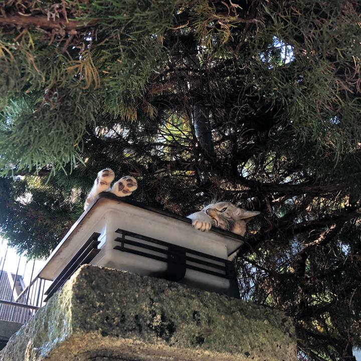 Beb7b8a5 f076 4b20 be53 5ff29a13abb6 1657335223405