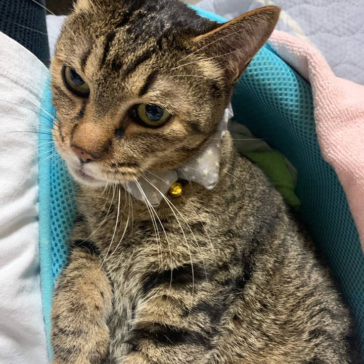 Beb7c80f bc89 4050 9f8b 3449b69eb4af 1589710920199