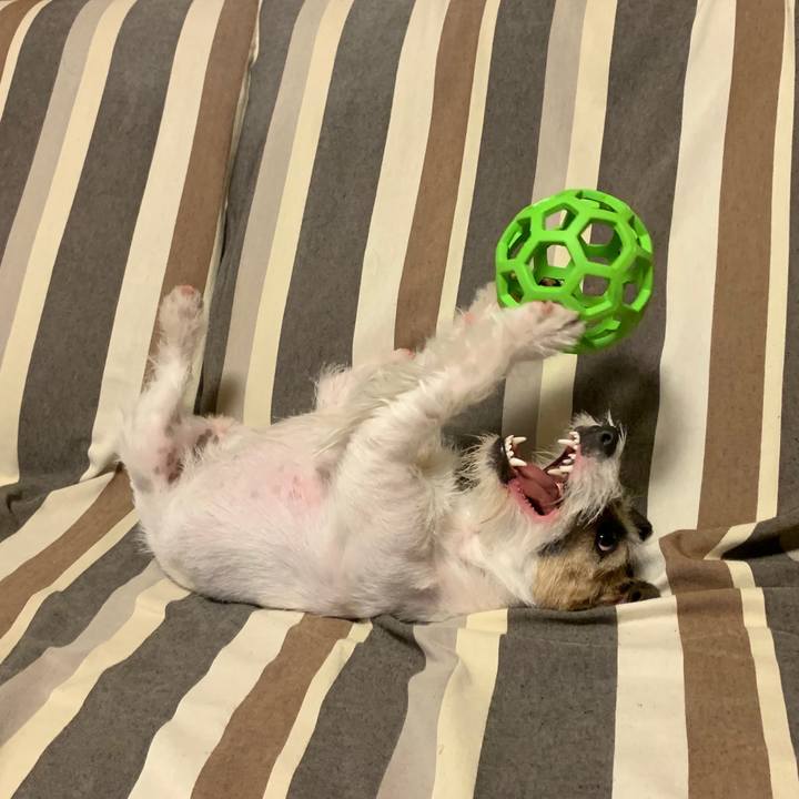 Beb81436 7871 4140 98a3 4c11c7f6af7a 1582552181144