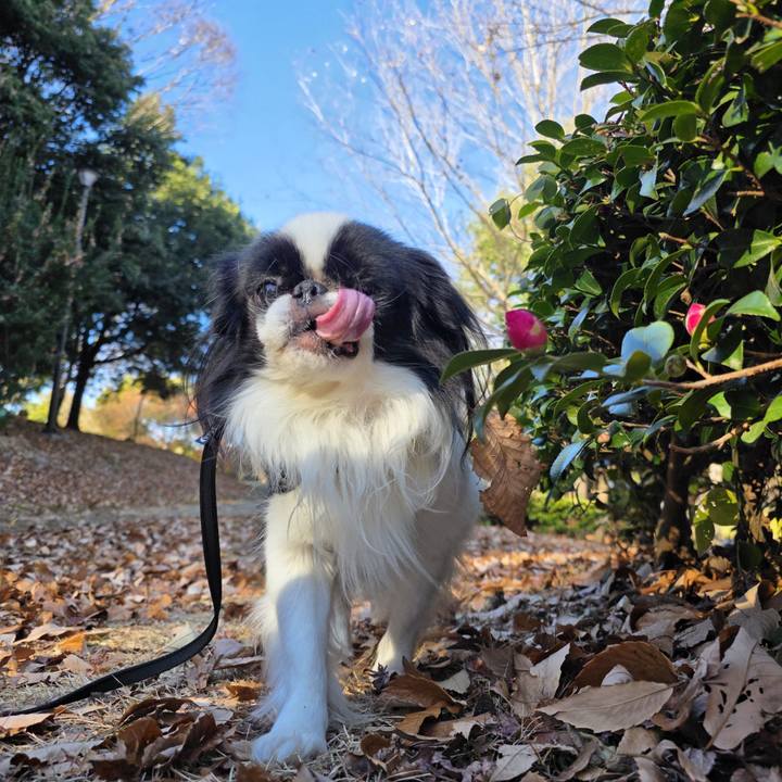 Beb8315b 874c 4710 bdad 1b41b32a14ec 1766439555810