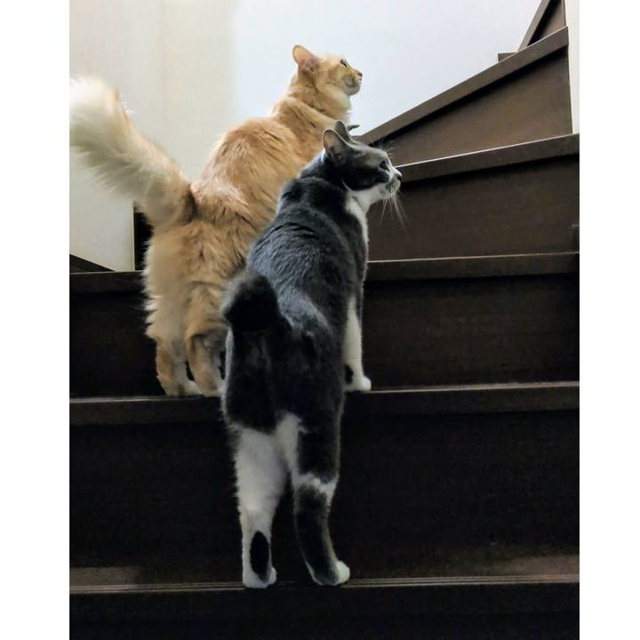 Beb889b1 9520 4724 b332 61c93008c357 1730447048622