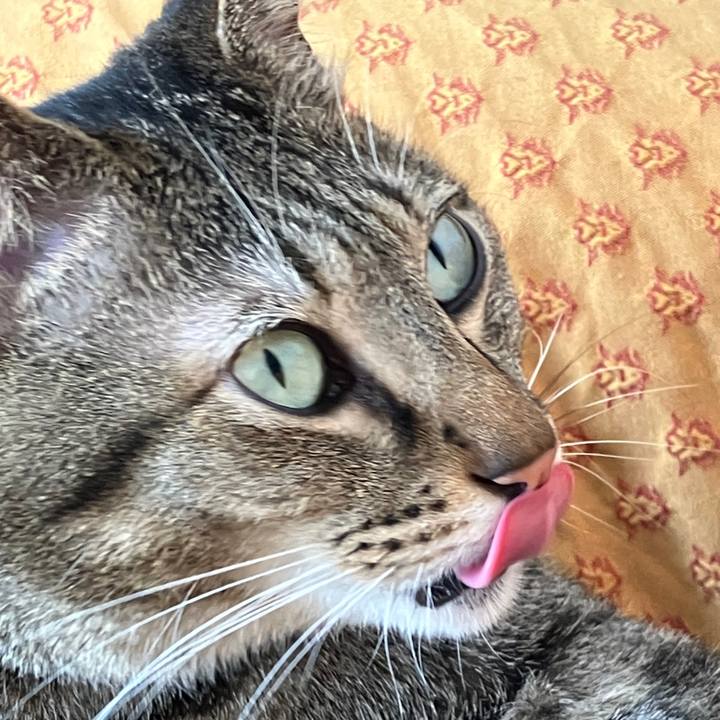 Beb8a415 0a49 4146 8e1b c56b4ede902b 1765267743309