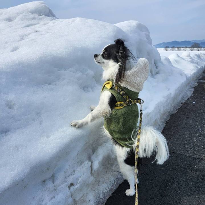 Beb8d91c 3572 4044 8ee2 7c52a2052132 1770333929893