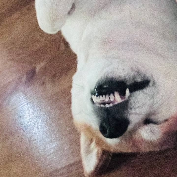 Beb8dfab 0f31 4563 b0ea 33d456e6dc13 1726399356225