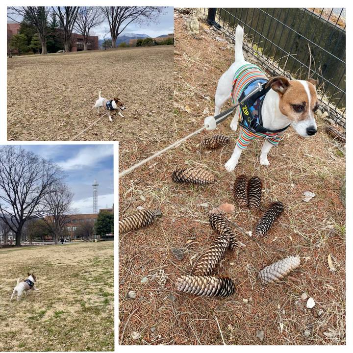 Beb8e3be 8839 47b7 b75a f70df936aaf9 1741766387205