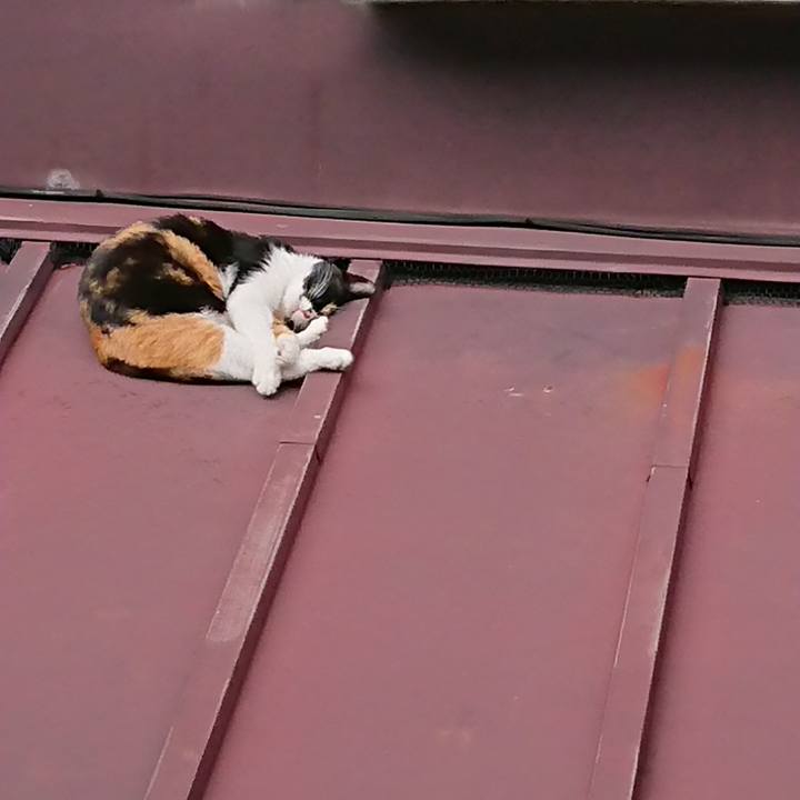 Beb94960 bc85 4343 9225 bd3e43ecf4f1 1539494076962