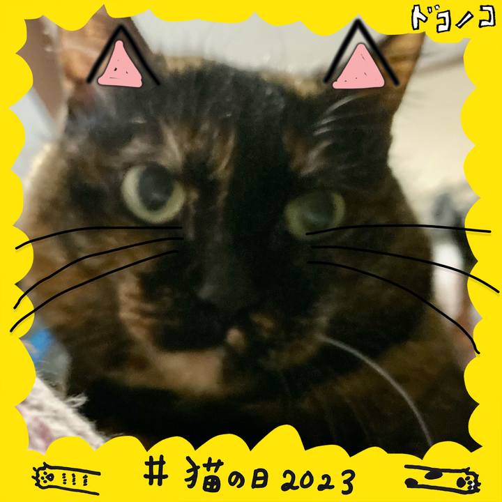 Beb982f1 268b 4d65 9e22 bbe8cc32e734 1677020891899