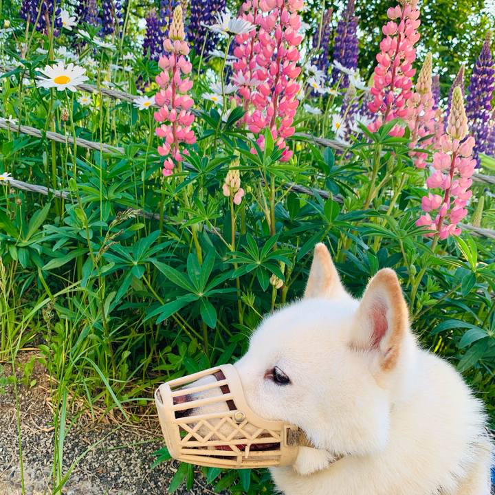 Beb9c782 fd5a 43a2 a6d0 92639d337c5b 1623097731327