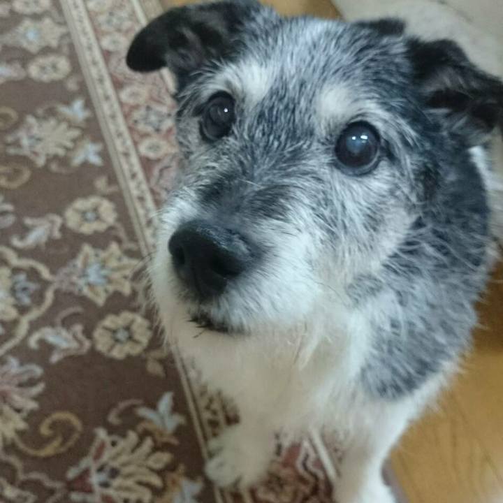 Beb9e3cd ecaf 46fe 97f7 18760755069e 1525903786409