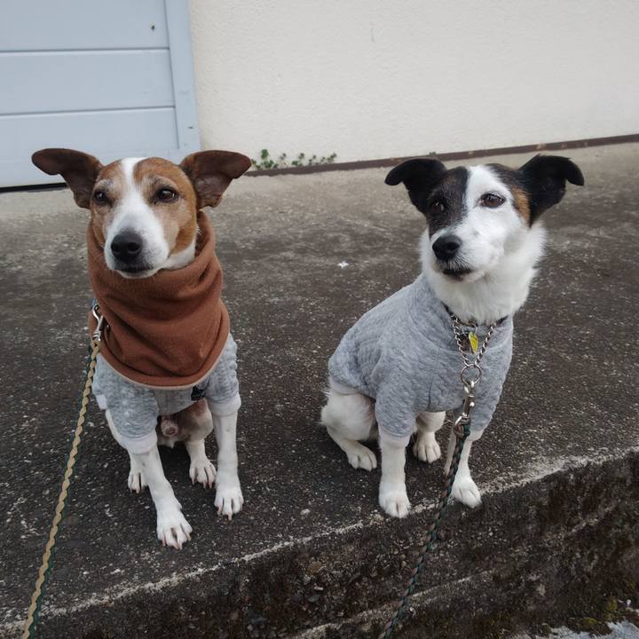 Beb9ec66 47bf 4dee 983b 7d0f0277110c 1772407617064