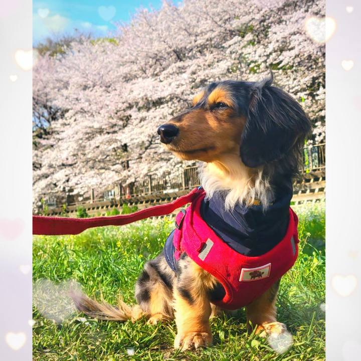 Beb9f1ed 884f 4067 9429 8951d4c67f8f 1744018217155