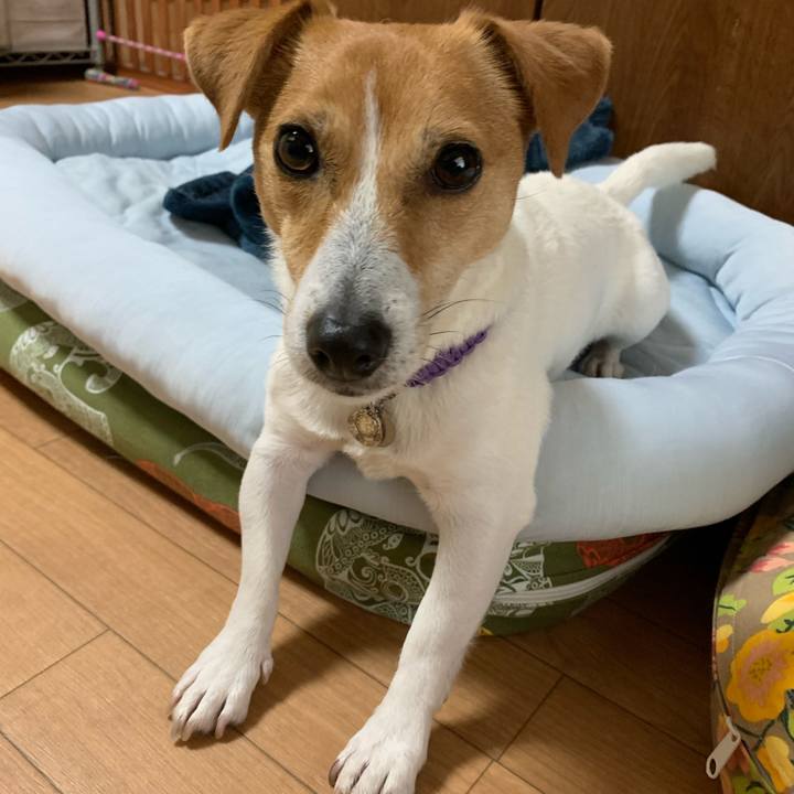 Beba3721 3b94 415a b41b 3149e7270758 1589962338894