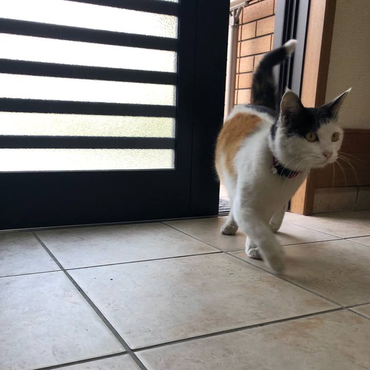 Beba494c 4e13 432d 90d2 9ef20d37d673 1619216624641