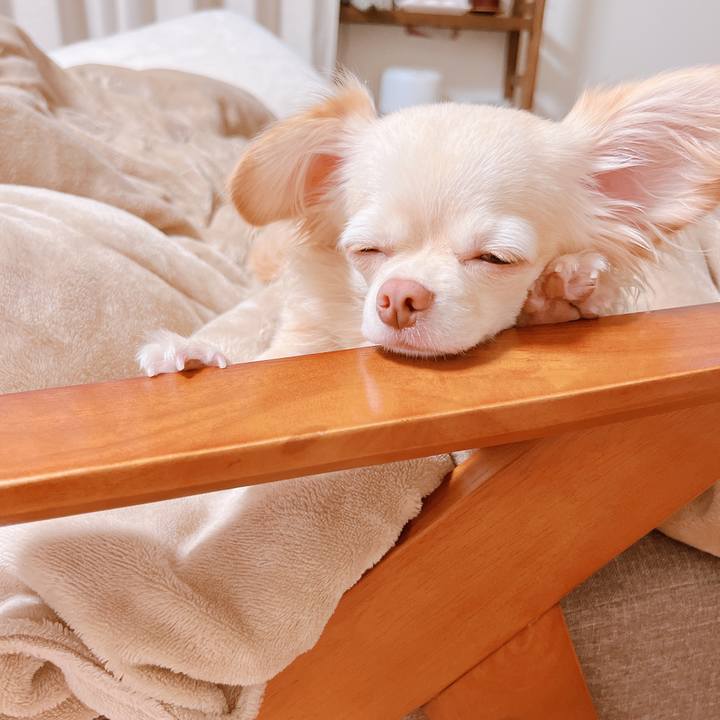 Beba4d1f 2016 4bc9 8a05 272586fe07ad 1662616759462